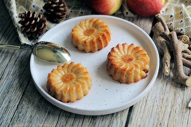 Clafoutis pommes amandes,clafoutis aux pommes sans beurre,clafoutis aux pommes facile et rapide,clafoutis aux pommes minceur,clafoutis aux pommes facile