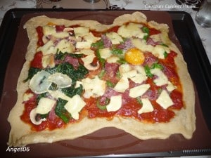 Pizza tomate, mozzarella et parmesan Ange