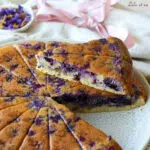 Cake au yaourt myrtilles,Cake yaourt myrtille,dessert yaourt myrtilles,gateau yaourt myrtille,gâteau yaourt myrtille amande,gâteau yaourt myrtille sans beurre,Recette cake aux myrtilles,recette gateaux aux myrtilles,recette cake aux myrtilles leger,recette gateau aux myrtilles facile,Cake yaourt sans beurre,gâteau yaourt sans beurre rapide,Cake yaourt et myrtilles facile,Recette cake aux myrtilles fraîches,gâteau aux myrtilles fraîches,Gâteau pour le goûter léger,gâteau léger pour le goûter,Moule à part Ohra Guy Demarle,Cake au yaourt de brebis