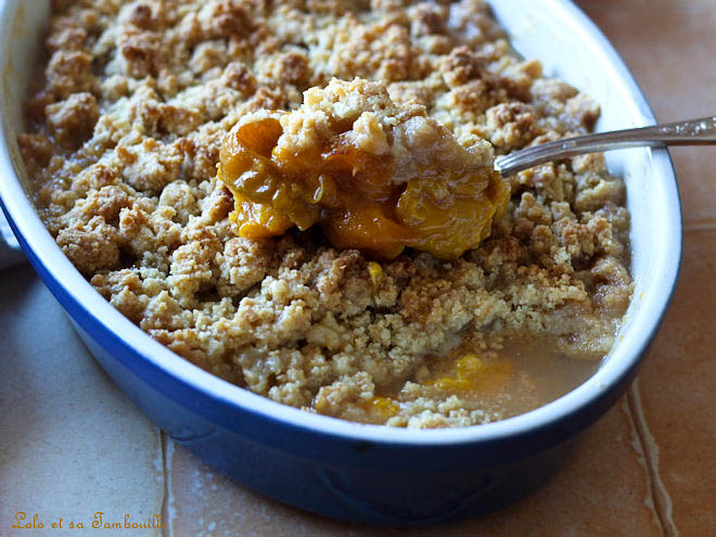 crumble aux prunes Reine-Claude,crumble aux prunes reine claude,recette crumble prunes reine claude,crumble aux prunes,crumble aux prunes recette,crumble aux prunes facile,crumble prunes facile et rapide,crumble prunes poudre d'amandes,crumble prune amande,recette crumble prune amande,crumble prune poudre amande,recette de crumble aux prunes,dessert aux prunes reine claude,recette avec prunes du jardin